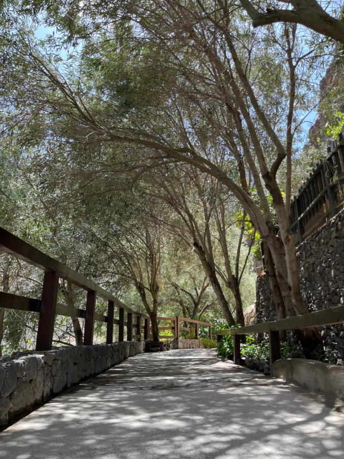 Casa Rural Guayadeque Ca'Juani Ingenio Exterior foto